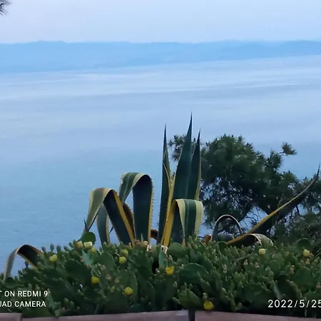 Castle On The Edge Of The Sea