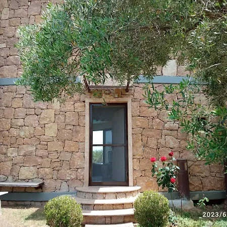 Castle On The Edge Of The Sea