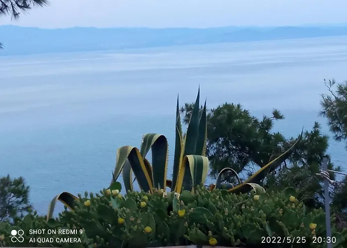 Castle On The Edge Of The Sea