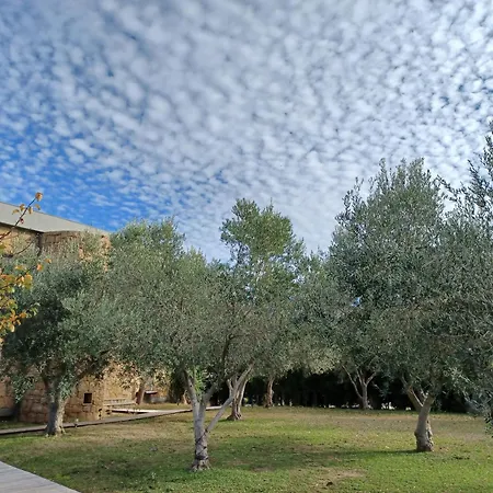 Castle On The Edge Of The Sea - Potidea Villa